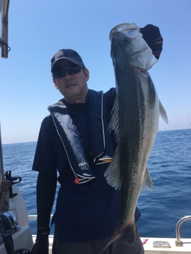 シーモンキー 釣果