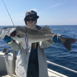 シーモンキー 釣果