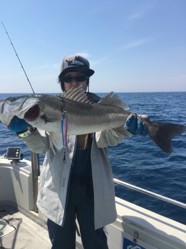 シーモンキー 釣果