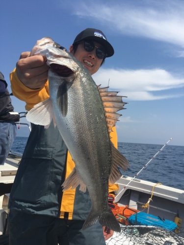 シーモンキー 釣果