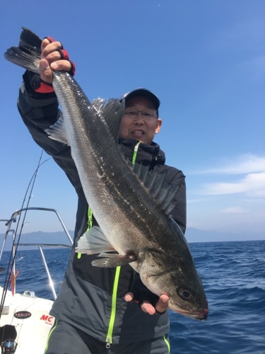 シーモンキー 釣果