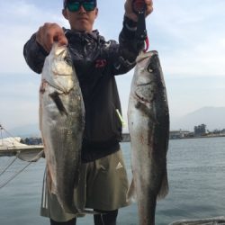 シーモンキー 釣果