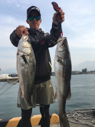 シーモンキー 釣果