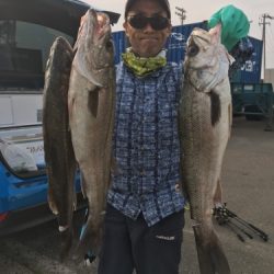 シーモンキー 釣果