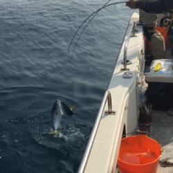 シーモンキー 釣果