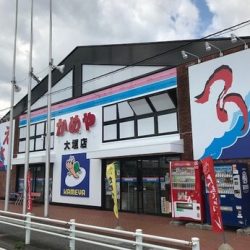 シーモンキー 釣果