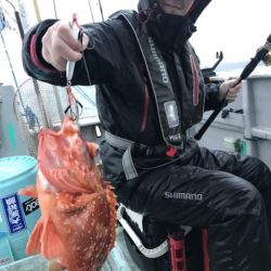 たいし丸 釣果