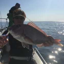 シーモンキー 釣果