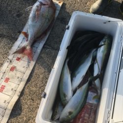 シーモンキー 釣果