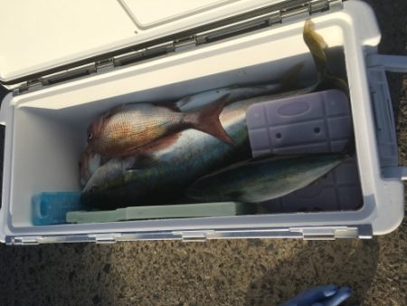 シーモンキー 釣果