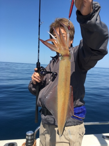 シーモンキー 釣果