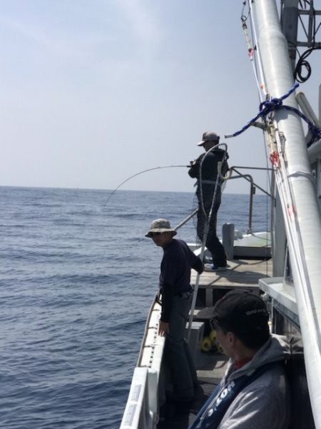 たいし丸 釣果