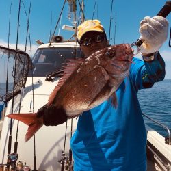 シーモンキー 釣果