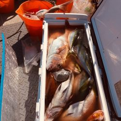 シーモンキー 釣果