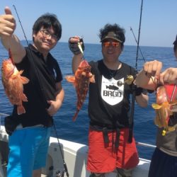 シーモンキー 釣果