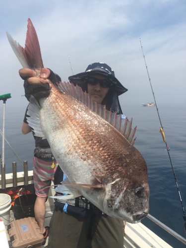 シーモンキー 釣果