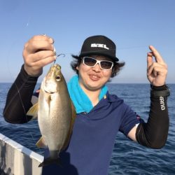 たいし丸 釣果