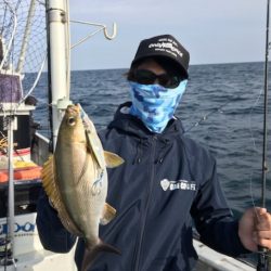 たいし丸 釣果