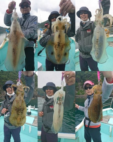 シードリーム 釣果