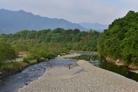 秩父フライフィールド 釣果