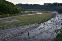 秩父フライフィールド 釣果