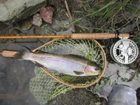 秩父フライフィールド 釣果