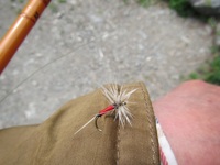 秩父フライフィールド 釣果