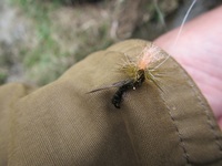 秩父フライフィールド 釣果