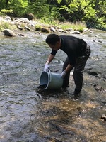 秩父フライフィールド 釣果