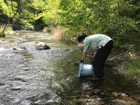 秩父フライフィールド 釣果