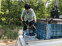 秩父フライフィールド 釣果