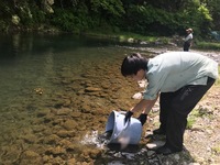 秩父フライフィールド 釣果