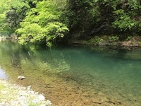 秩父フライフィールド 釣果