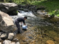 秩父フライフィールド 釣果