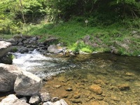 秩父フライフィールド 釣果