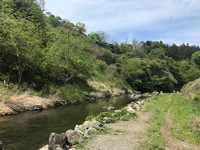 秩父フライフィールド 釣果