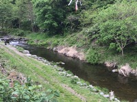 秩父フライフィールド 釣果