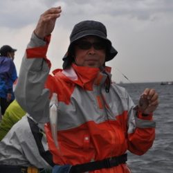 根岸丸 釣果