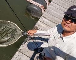 フィッシング サンクチュアリ 釣果