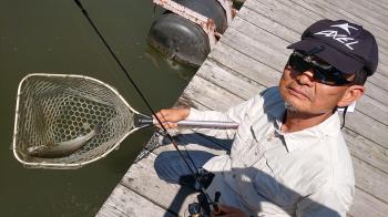 フィッシング サンクチュアリ 釣果