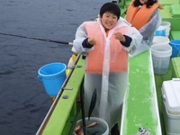 なごみ船 釣果