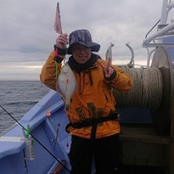 小樽港遊漁船SHAKE 釣果