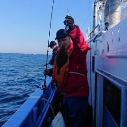 小樽港遊漁船SHAKE 釣果