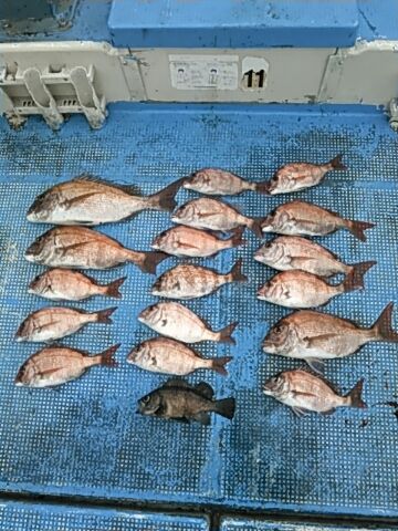 フィッシングガイド りょう 釣果