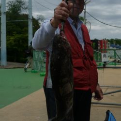 としまえんフィッシングエリア 釣果