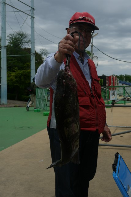 としまえんフィッシングエリア 釣果