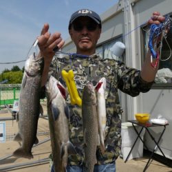 としまえんフィッシングエリア 釣果