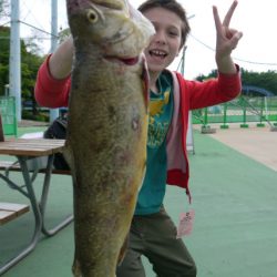としまえんフィッシングエリア 釣果