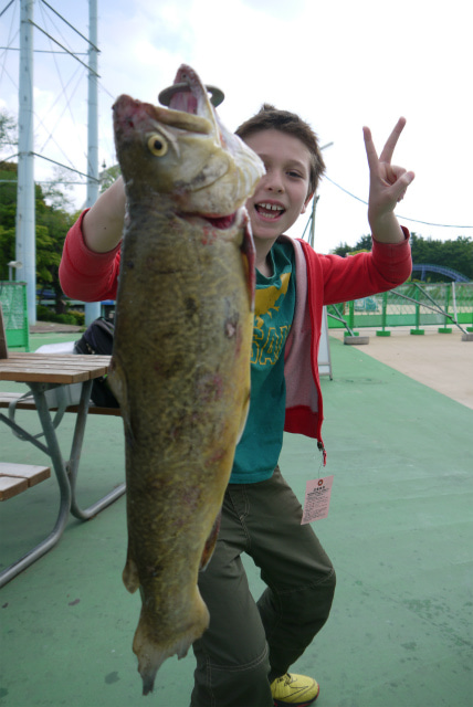 としまえんフィッシングエリア 釣果