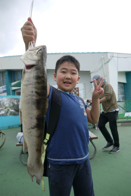 としまえんフィッシングエリア 釣果